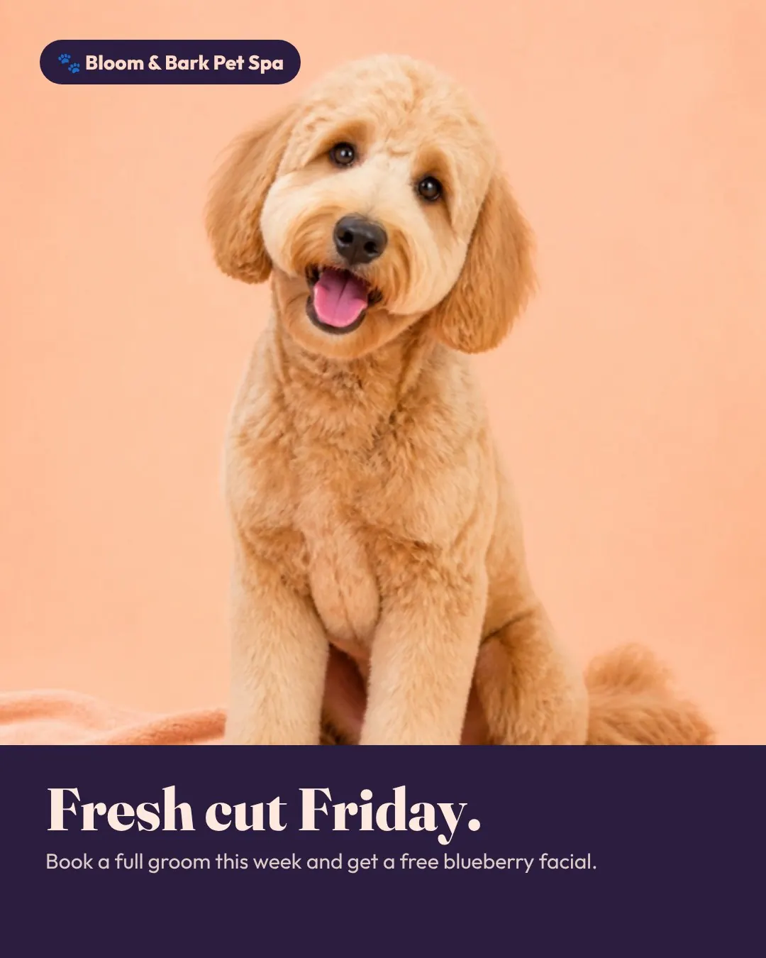 Bloom & Bark Pet Spa: Promo post